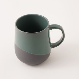 Dallaty Ceramic Mug In Green