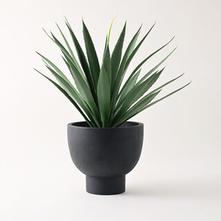 Homez artificial plant in black pot