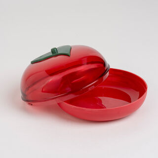 Plastic tomato saver