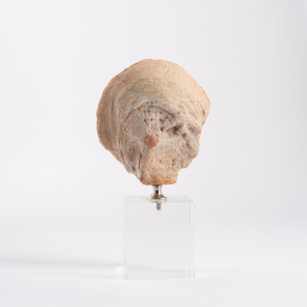 تحفة ديكورية مرجان مع قاعدة كرستال image number 0