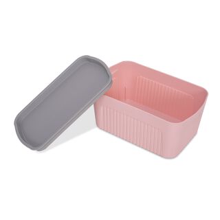 Storage Containe 2L Pudra 