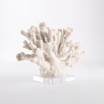 Home Accent Coral With Crystal Base image number 1
