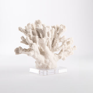 Home Accent Coral With Crystal Base