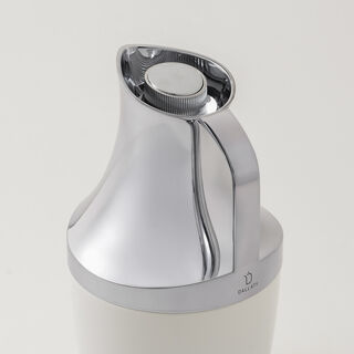 Dallaty 1L stainless steel vacuum flask in silver