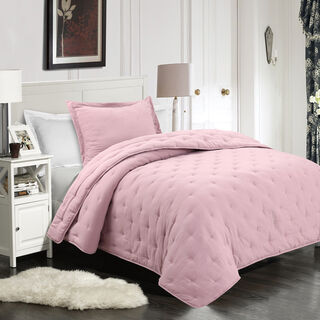 2 Pieces Twin Embroidered Comforter Set