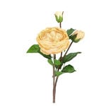 Artificial Flower Rose Champagne image number 0