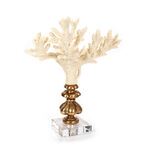 Home Accent Coral Cream And Gold image number 0