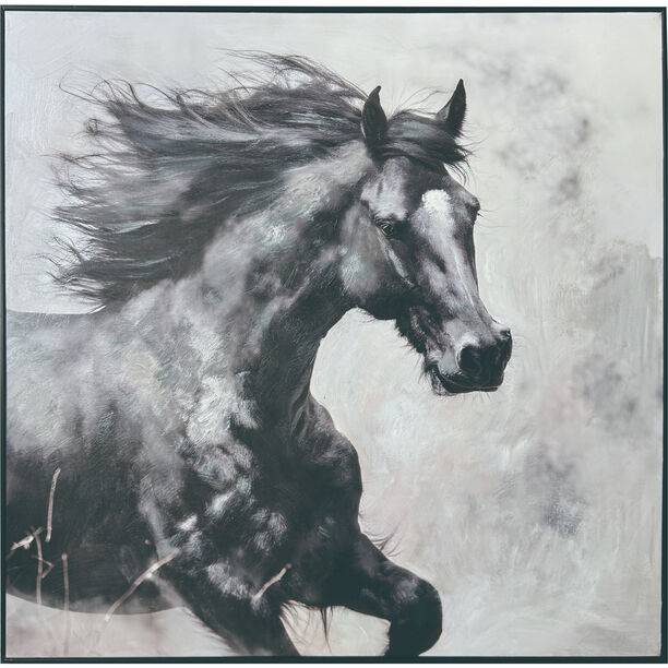 Homez canvas wall art framed horse, black 100*100cm image number 1