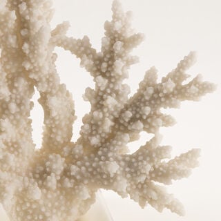 هومز قطعة ديكور بالي ريزن 35*13*36سم، بيج