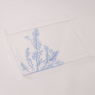 Dallaty acrylic serving tray, 52*40*6 cm