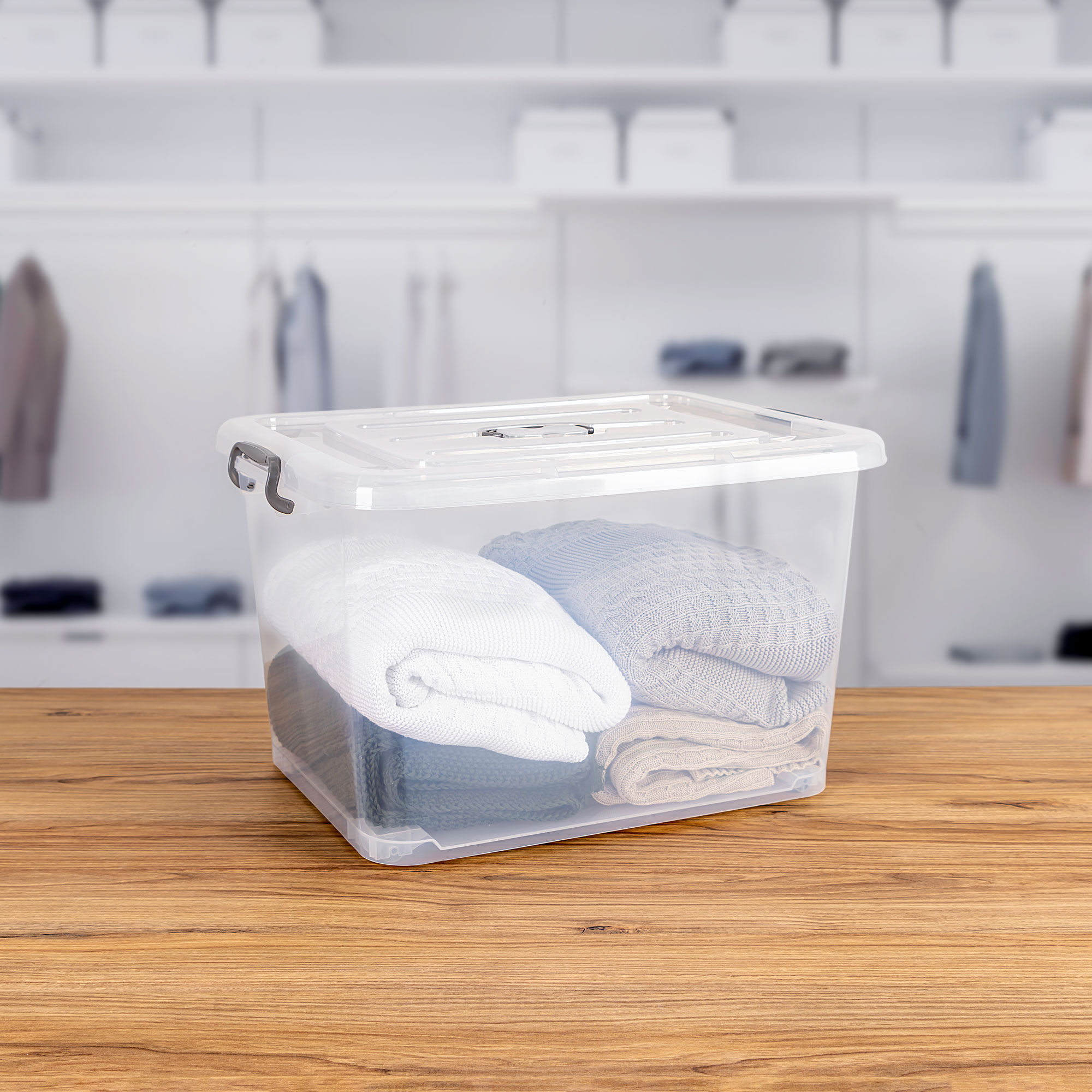 Clear plastic box online with handle