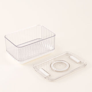 Alberto Food Storage Container 18.5*12.5*9Cm