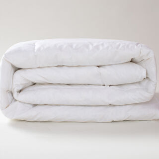 Boutique Blanche feather warm duvet filling 240*220 cm