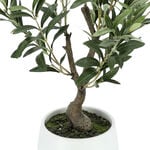 Aritificial olive plant in a Ceramic pot 35.56*35.56*58.42 cm image number 3