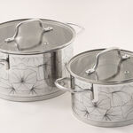 Alberto stainless steel 9pcs pot set with glass covers image number 2