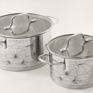 Alberto stainless steel 9pcs pot set with glass covers