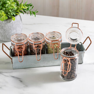 Alberto 4 Pieces Glass Mini Spice Jars With Copper Clip Lid And Metal Stand