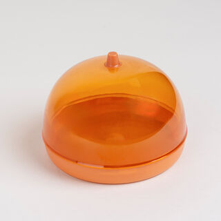 Plastic onion saver