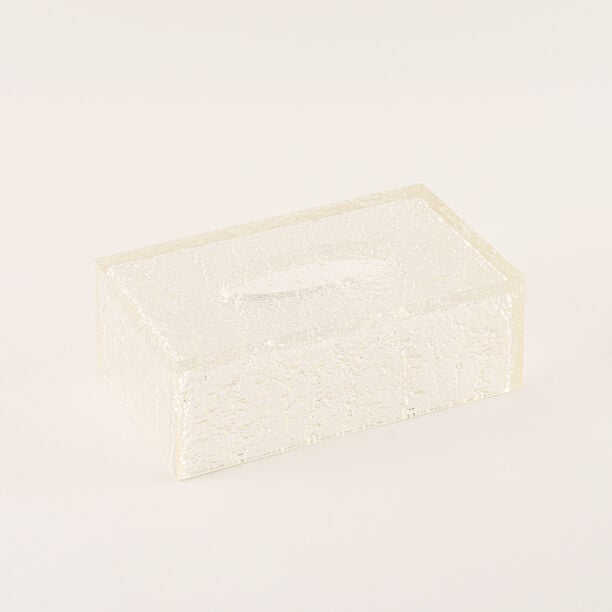 Homez Textured Resin Tissue Box, 22cm image number 0