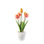 Homez indoor artificial tulip in pot, yellow & red, 17cm image number 0