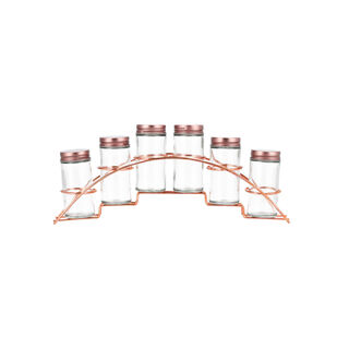6Pcs Small Glass Spice Jars
