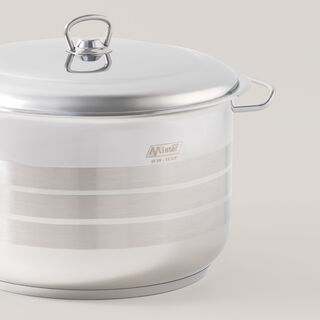 Mister Cook Single Stainless Steel Pot 26Cm, 8.5L