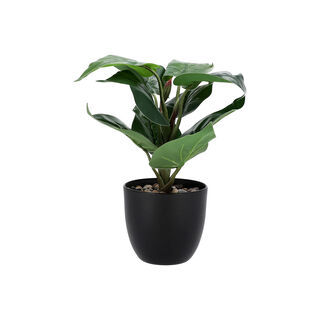 ARTIFICIAL PLANT IN PLASTIC BOX