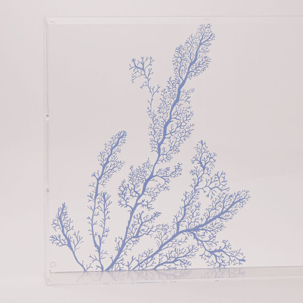 Dallaty acrylic serving tray, 40*30*6 cm image number 3