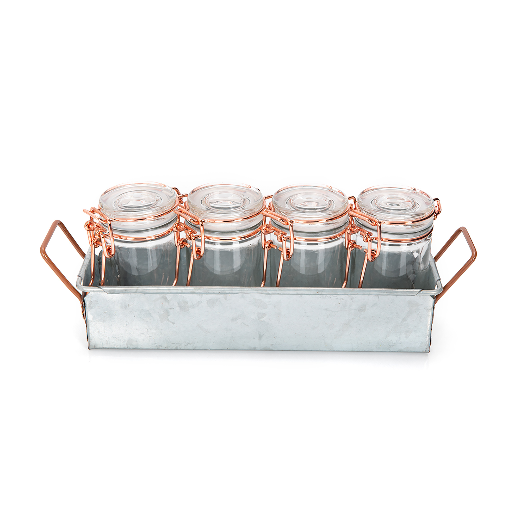 

Alberto 4 Pieces Glass Mini Spice Jars With Copper Clip Lid And Metal Stand