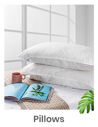 Pillows & Pillow Covers